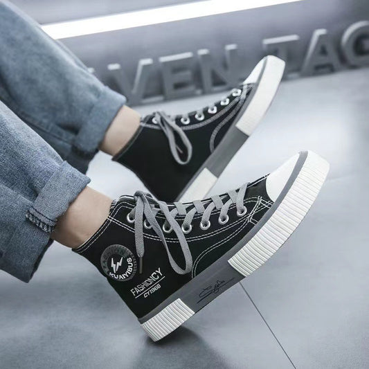 Durable Sophisticated Series  (Product Code :3066)